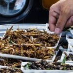 Cracked.com: I Farm Crickets, The Future Of Human Food: 7 Insane Truths